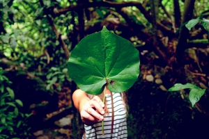 Hawaii Hike 1